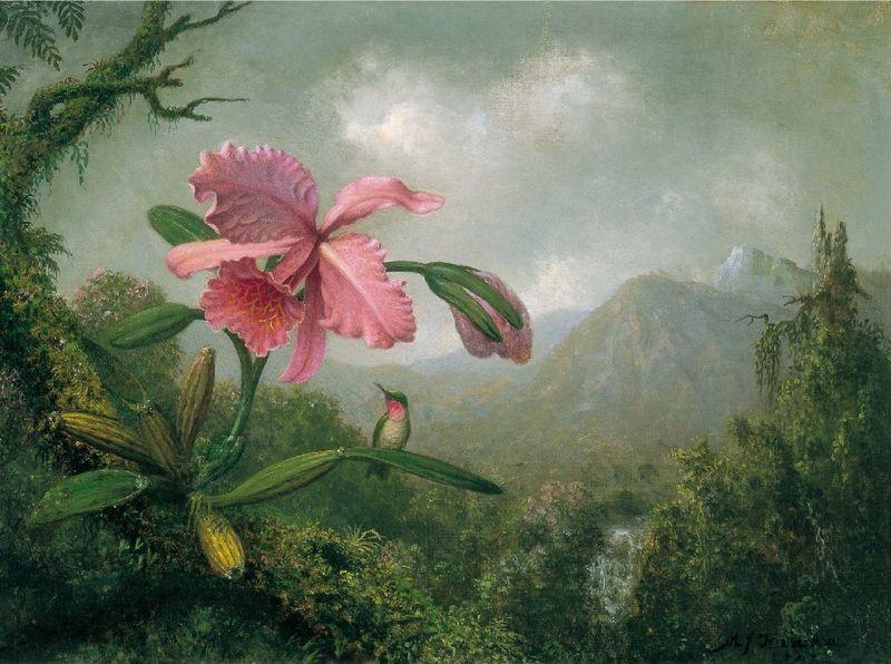 Martin Johnson Heade Orchid and Hummingbird near a Mountain Waterfall Sweden oil painting art